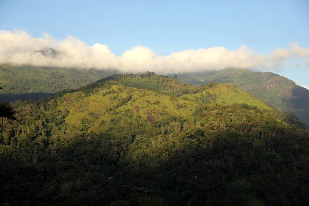 Ecotones Munnar By Eden Environs Hotell Exteriör bild