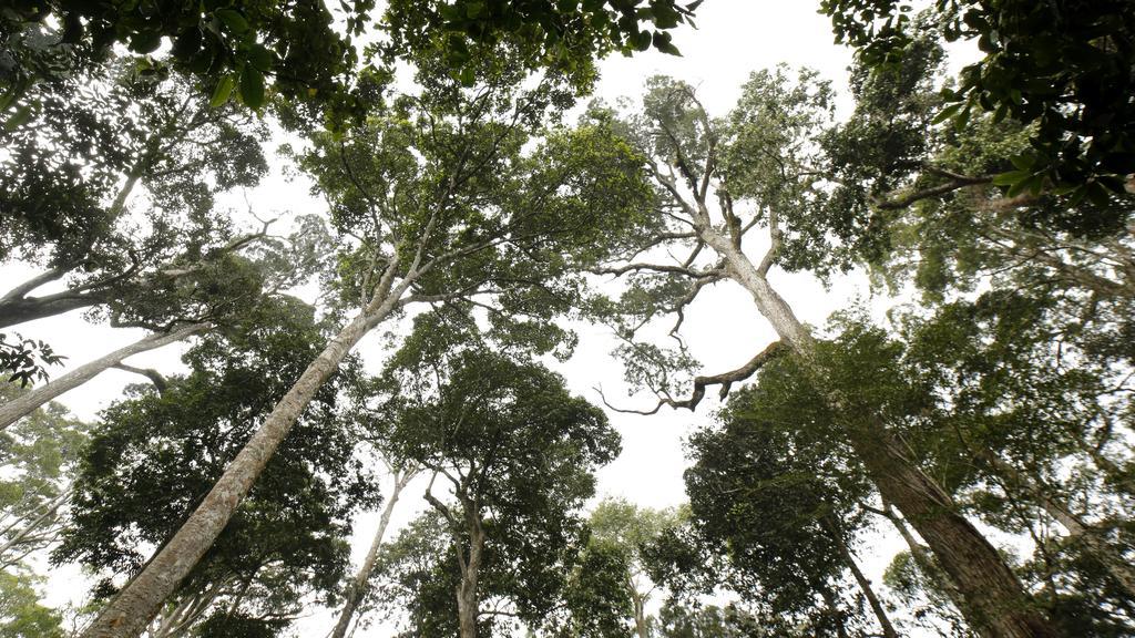 Ecotones Munnar By Eden Environs Hotell Exteriör bild