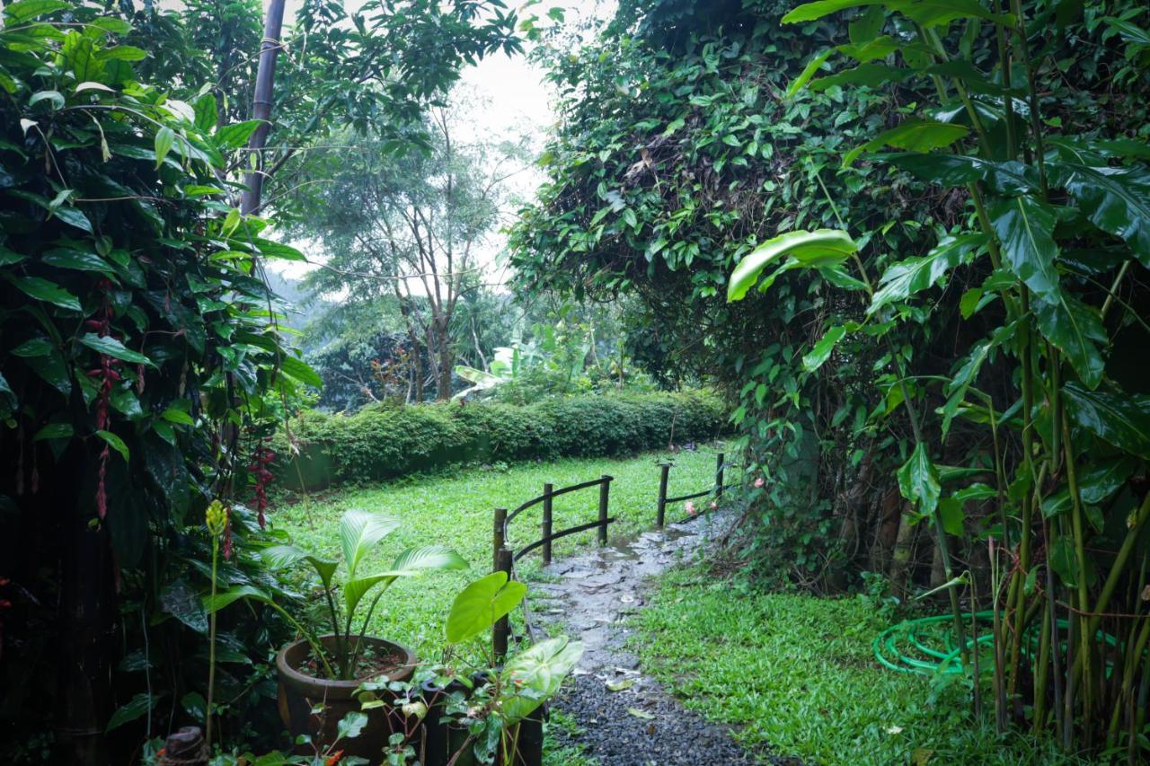 Ecotones Munnar By Eden Environs Hotell Exteriör bild