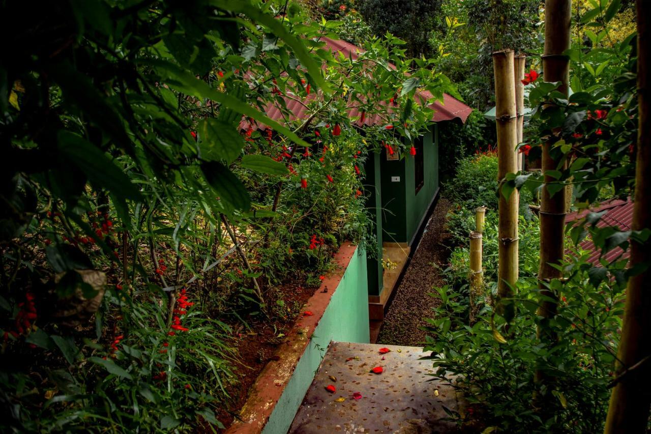 Ecotones Munnar By Eden Environs Hotell Exteriör bild
