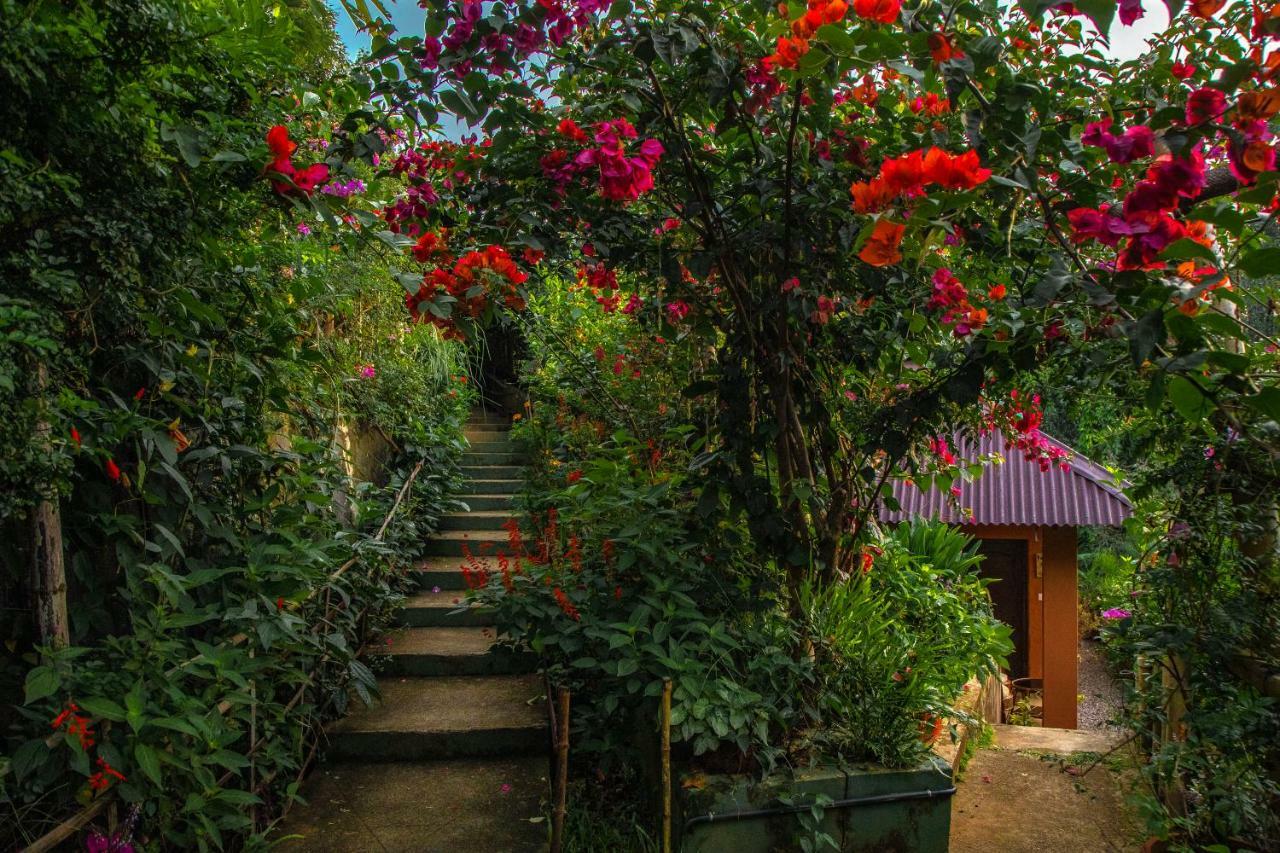 Ecotones Munnar By Eden Environs Hotell Exteriör bild
