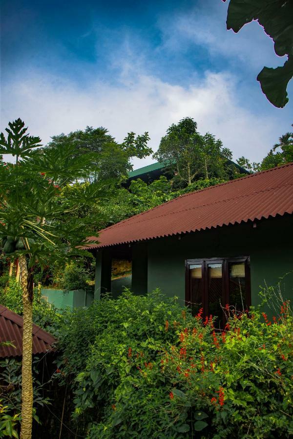 Ecotones Munnar By Eden Environs Hotell Exteriör bild