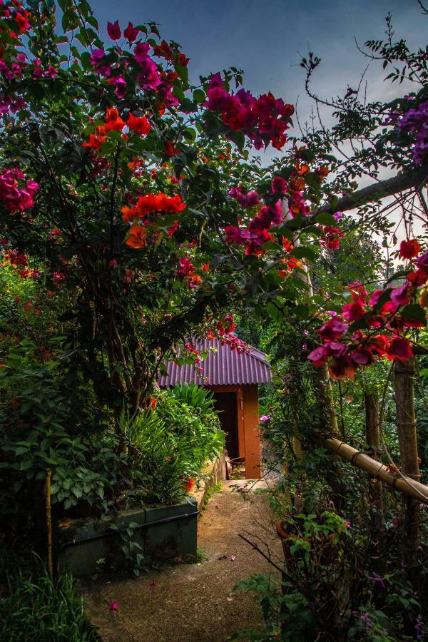 Ecotones Munnar By Eden Environs Hotell Exteriör bild