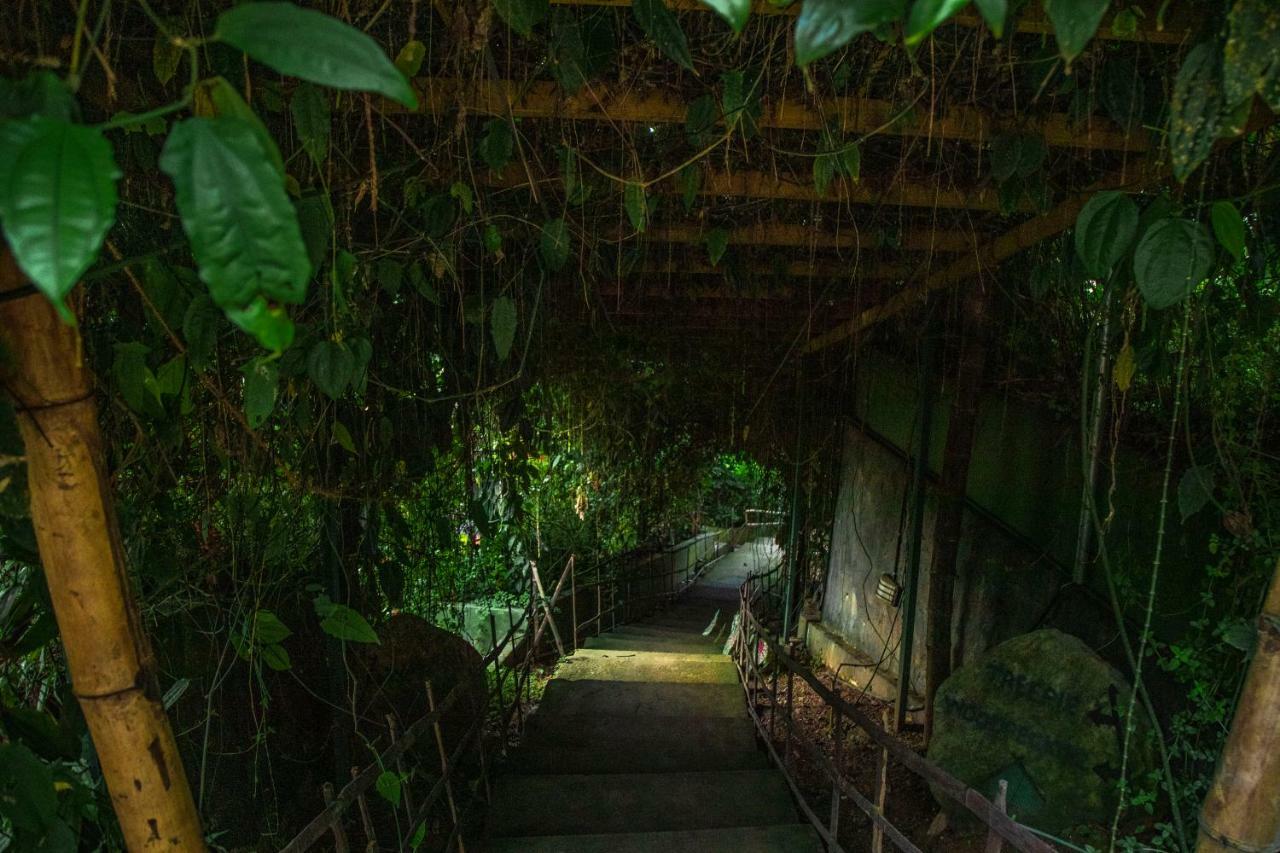 Ecotones Munnar By Eden Environs Hotell Exteriör bild