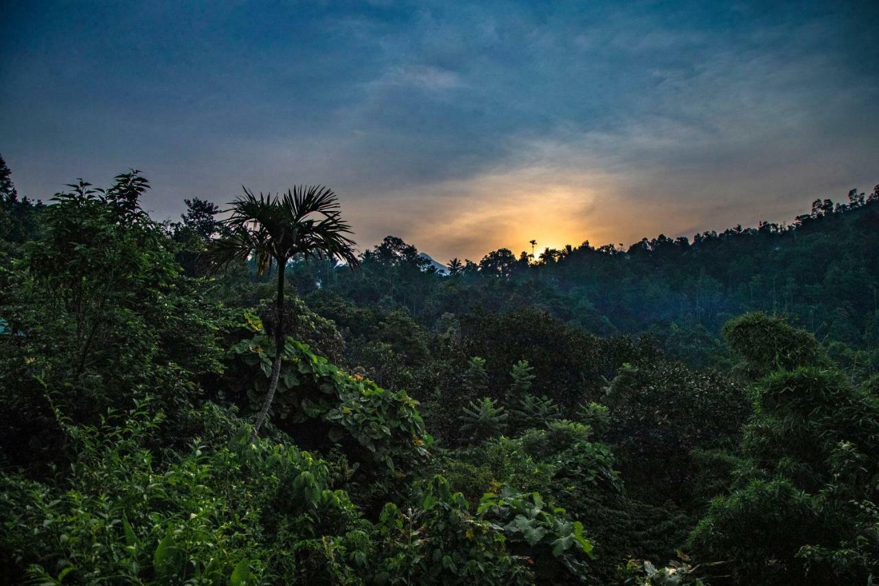 Ecotones Munnar By Eden Environs Hotell Exteriör bild