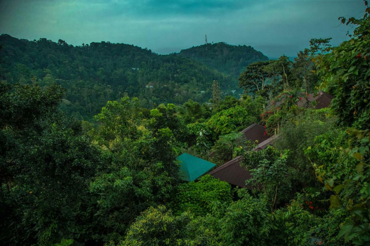 Ecotones Munnar By Eden Environs Hotell Exteriör bild